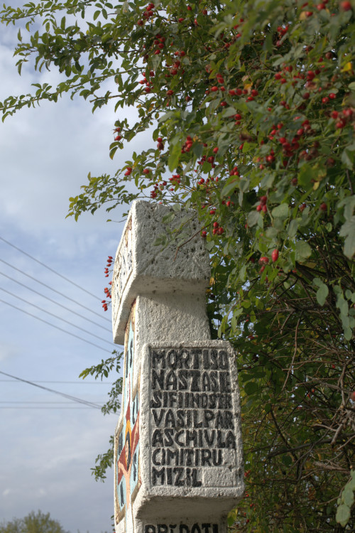 Cruce latină | Vispești