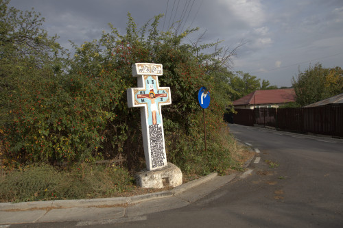 Cruce latină | Vispești