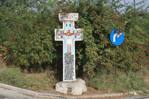 Cruce latină | Vispești