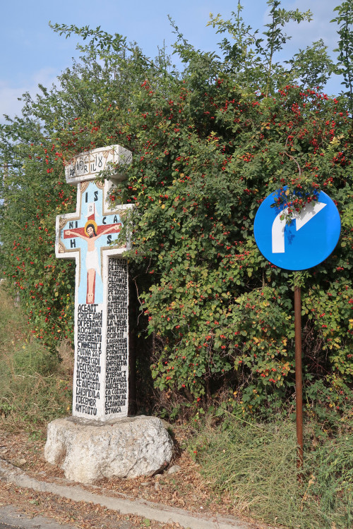 Cruce latină | Vispești