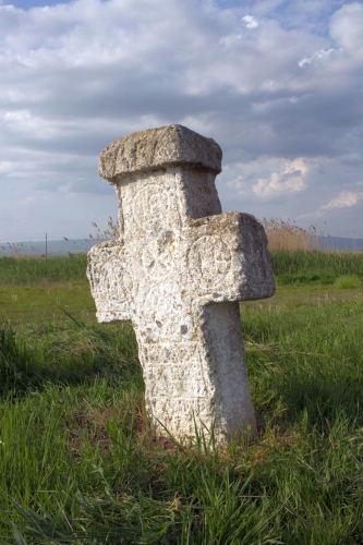 Cruce latină | Cireșanu