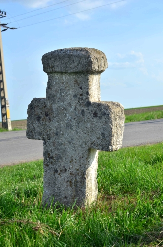 Cruce latină | Cireșanu