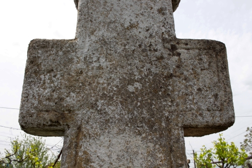 Cruce latină | Sălciile