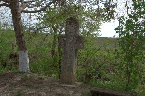 Cruce latină | Valea Orlei