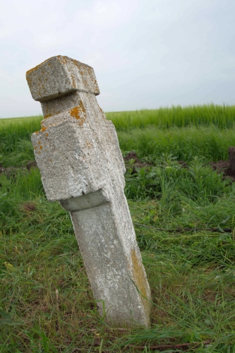 Cruce celtică | Cioranii de Sus