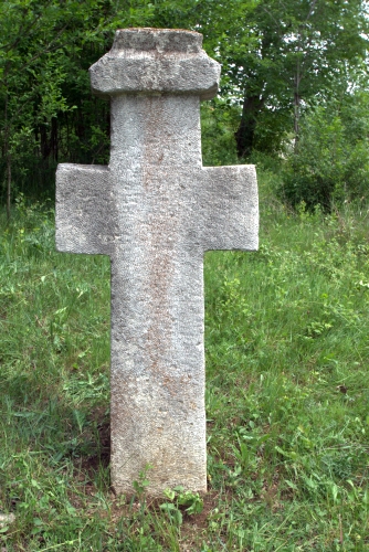 Cruce latină | Gornet-Cricov