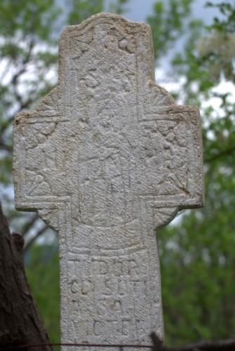Cruce celtică | Salcia