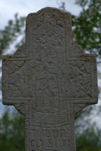 Cruce celtică | Salcia