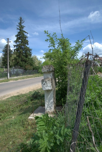 Cruce latină | Sângeru