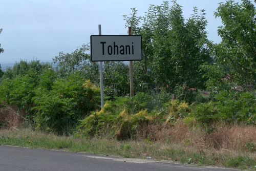 Cruce celtică | Tohani