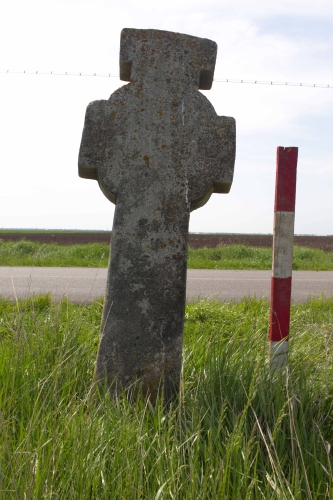 Cruce celtică | Fulga de Sus