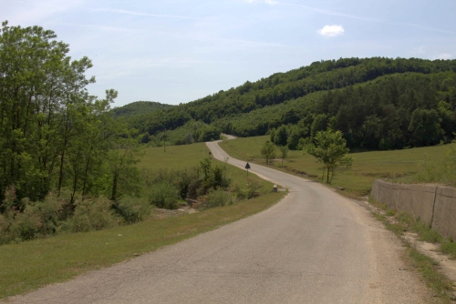 Cruce celtică | Lapoș