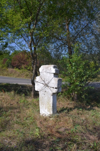 Cruce latină | Valea Cricovului