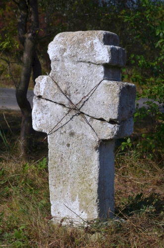 Cruce latină | Valea Cricovului