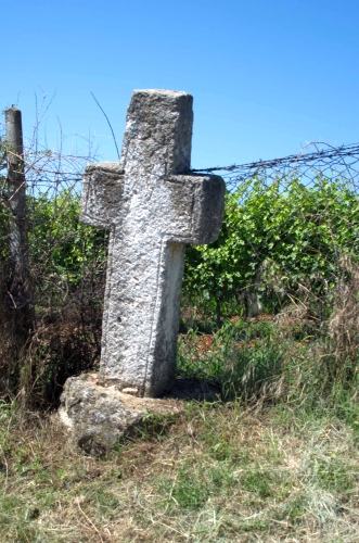 Cruce latină | Gura Vadului