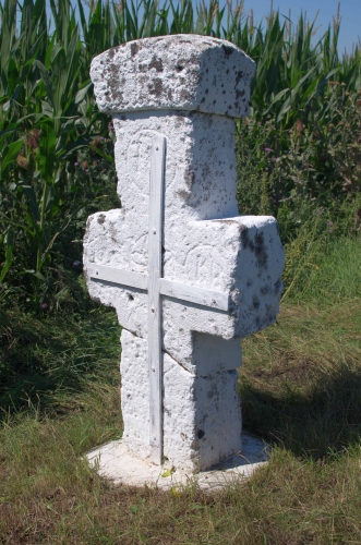 Cruce latină | Mizil