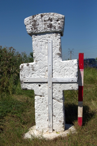 Cruce latină | Mizil