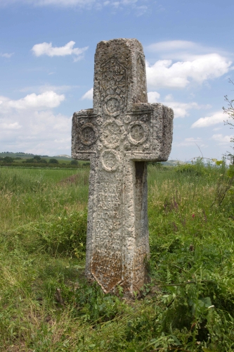 Cruce latină | Ungureni