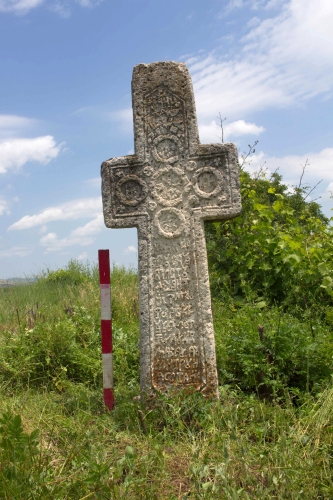Cruce latină | Ungureni